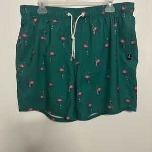 Hollister Marine Green Flamingo Swim Trunks Beach Wear